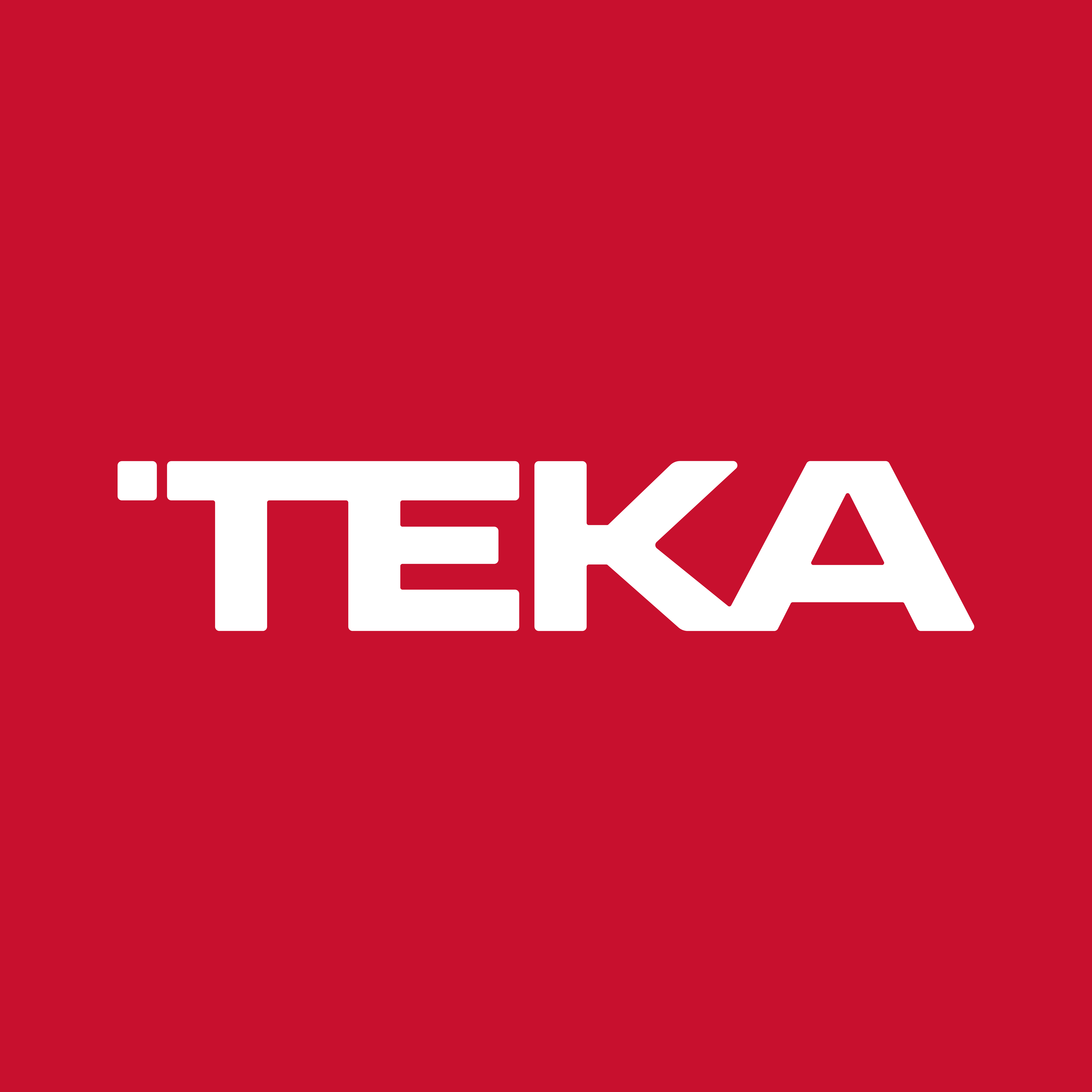 LOgO TEKA Red Box RGB