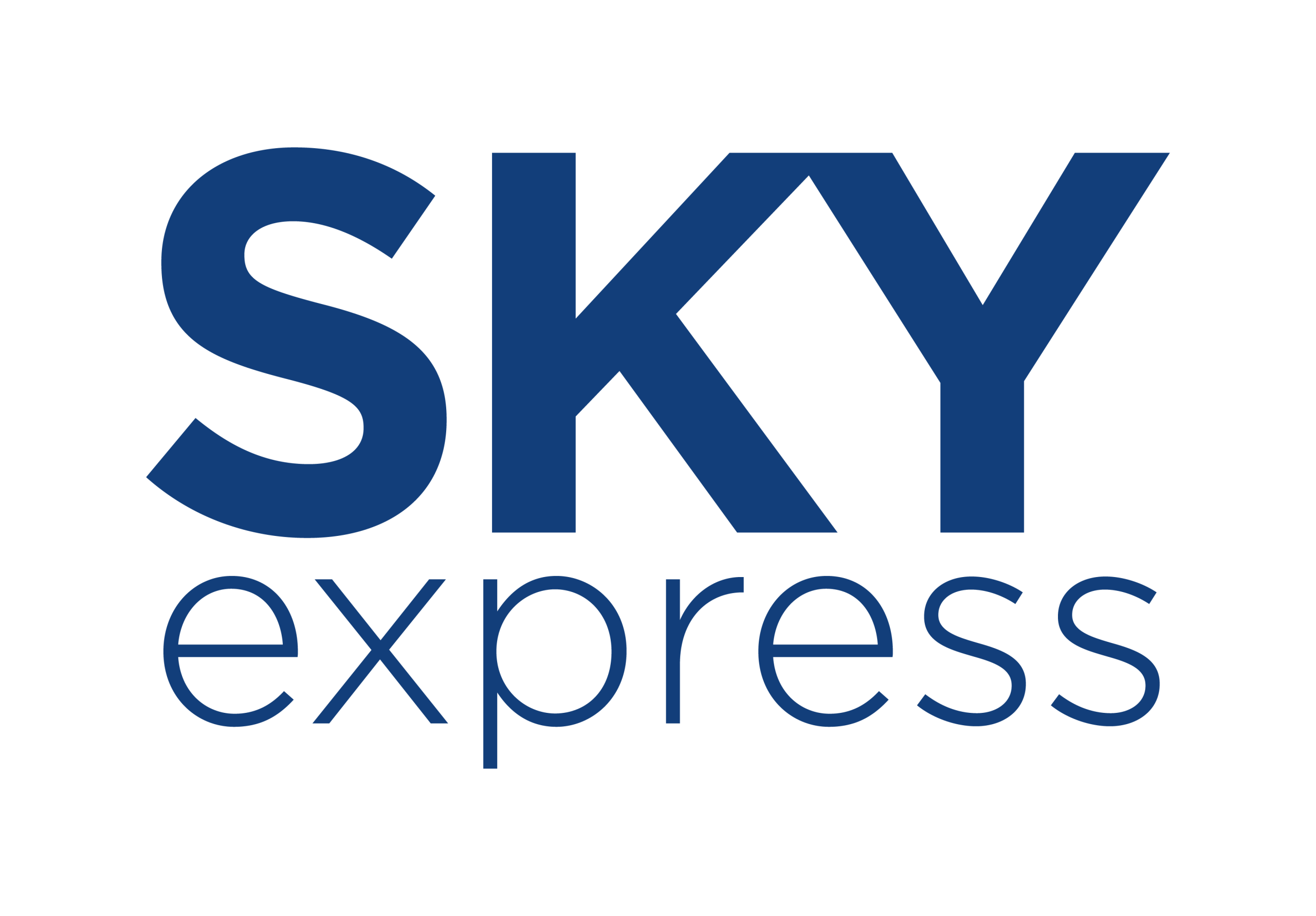 SKYexpress LOGO