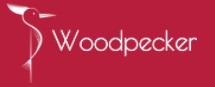woodpecker