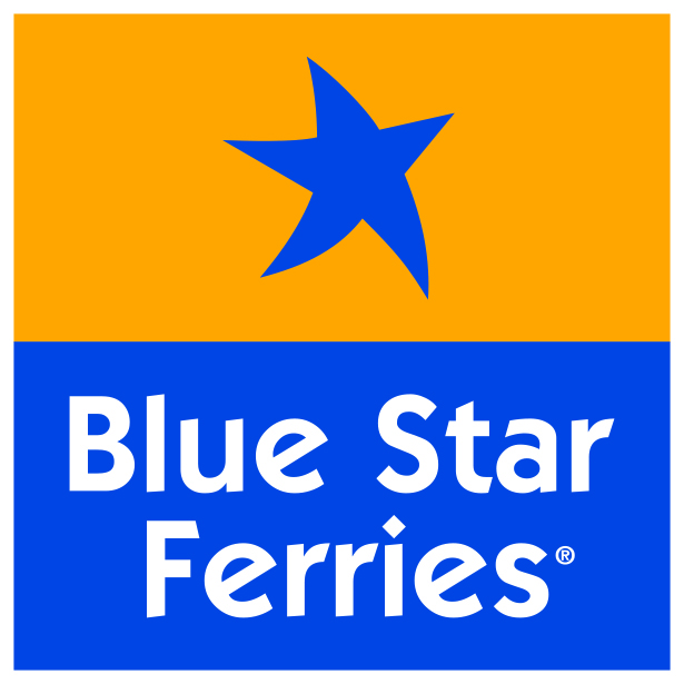 bluestarlogo square newcolor stroke